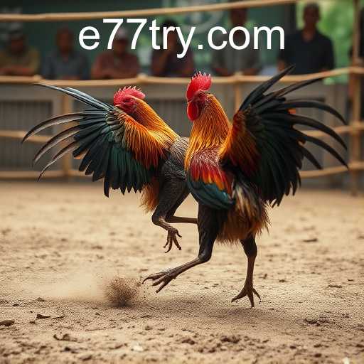 Exploring the Thrills of Sabong Games: A Deep Dive into e77